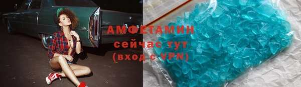 индика Богданович