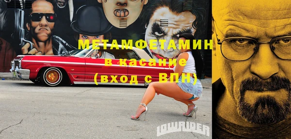 индика Богданович