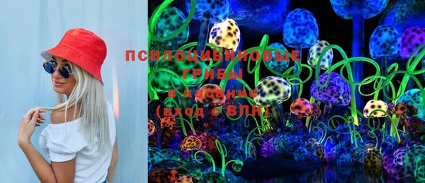 индика Богданович