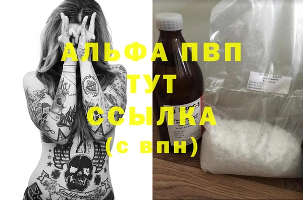 индика Богданович