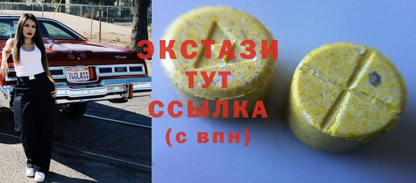 индика Богданович