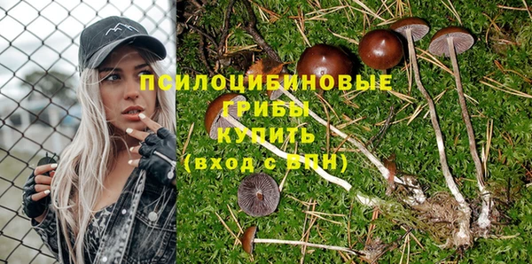 метадон Богородск
