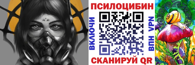 купить наркотик  Улан-Удэ  blacksprut онион  Псилоцибиновые грибы Magic Shrooms 