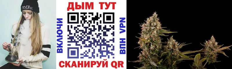 где продают   Улан-Удэ  Каннабис Ganja 
